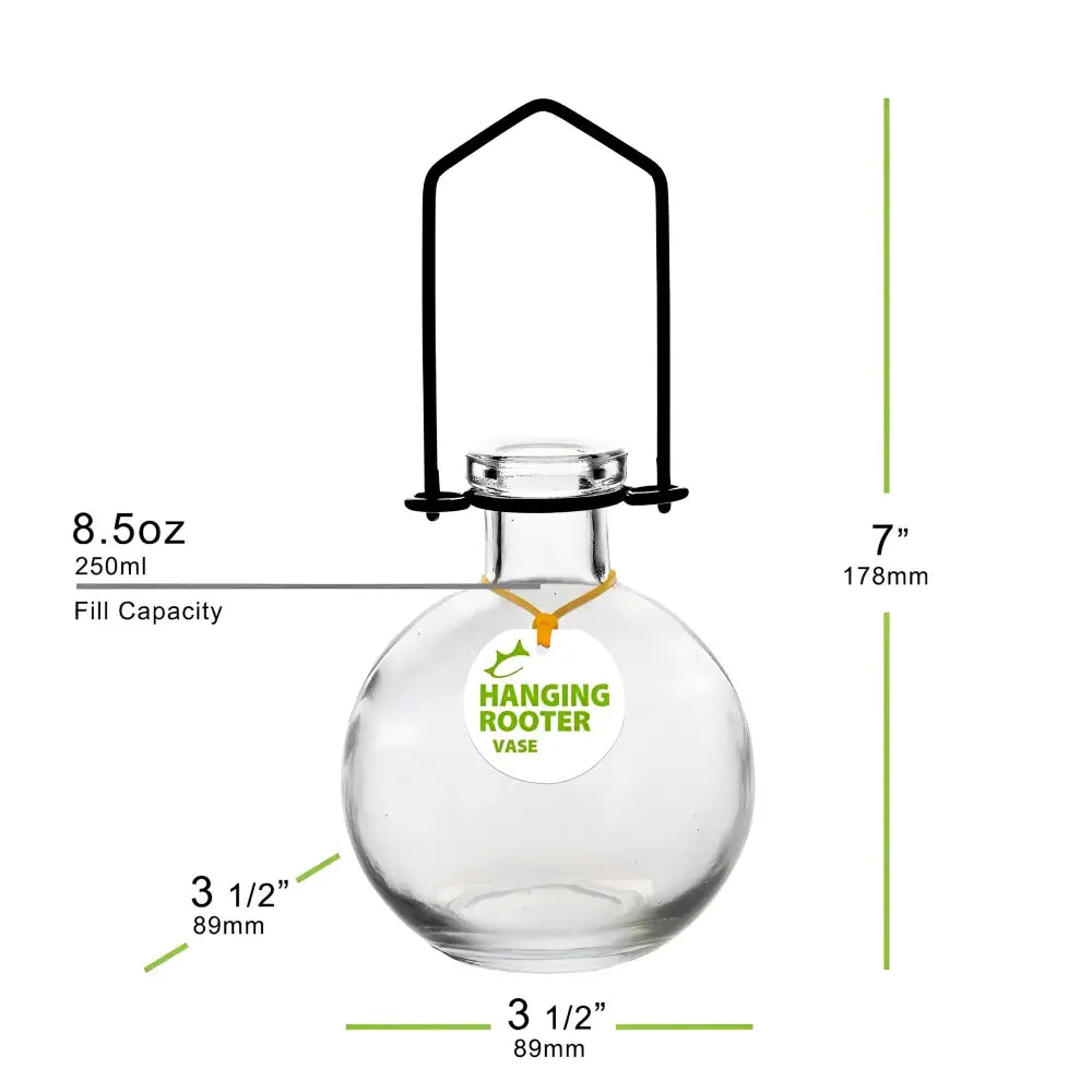 Clear glass hanging rooter glass vase with black metal hanger for plant propagation