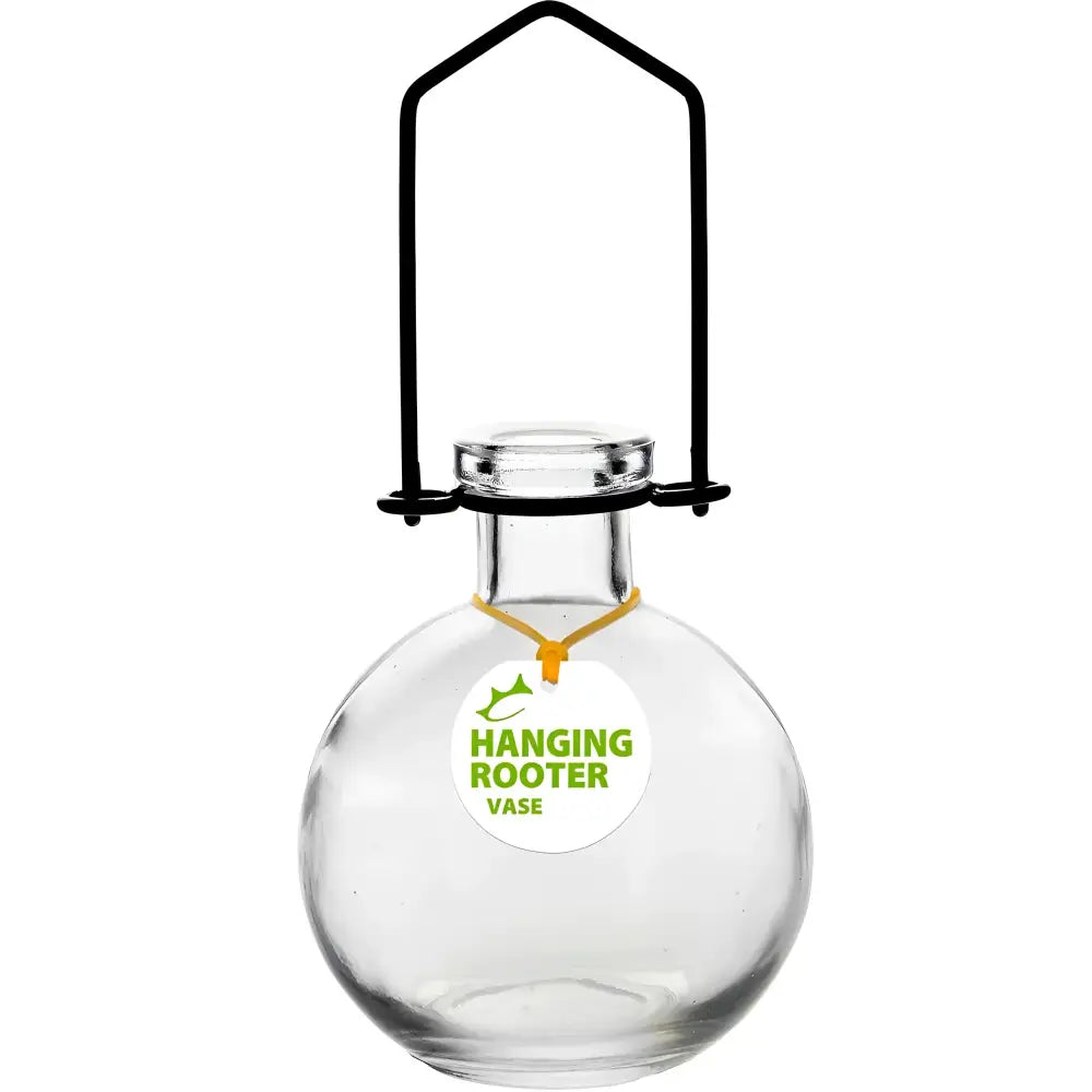 Clear hanging rooter glass vase for plants in the Hanging Ball Recycled Glass Rooting Vase Clear