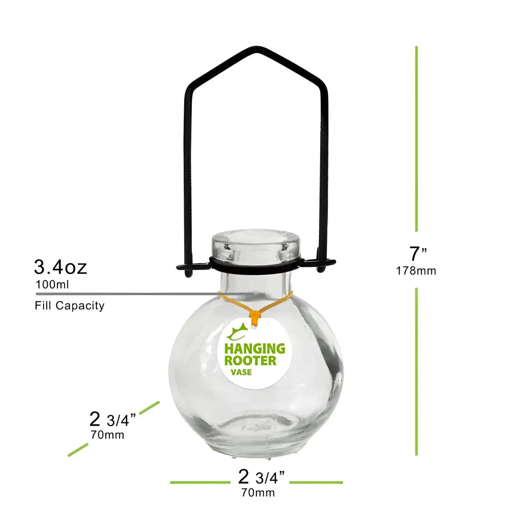 Clear glass hanging small ball rooting vase with black metal handle and Hanging Rooter Vase label