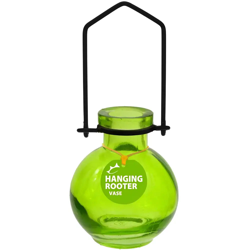 Green hanging small ball glass vase with black metal hanger for stylish plant display