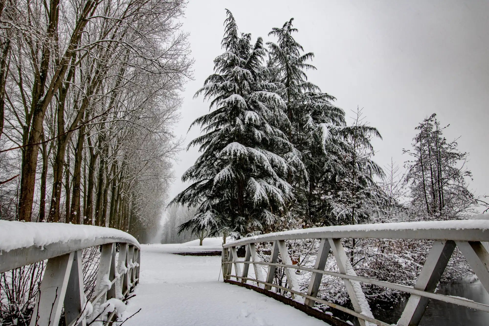 Snow-covered park bridge