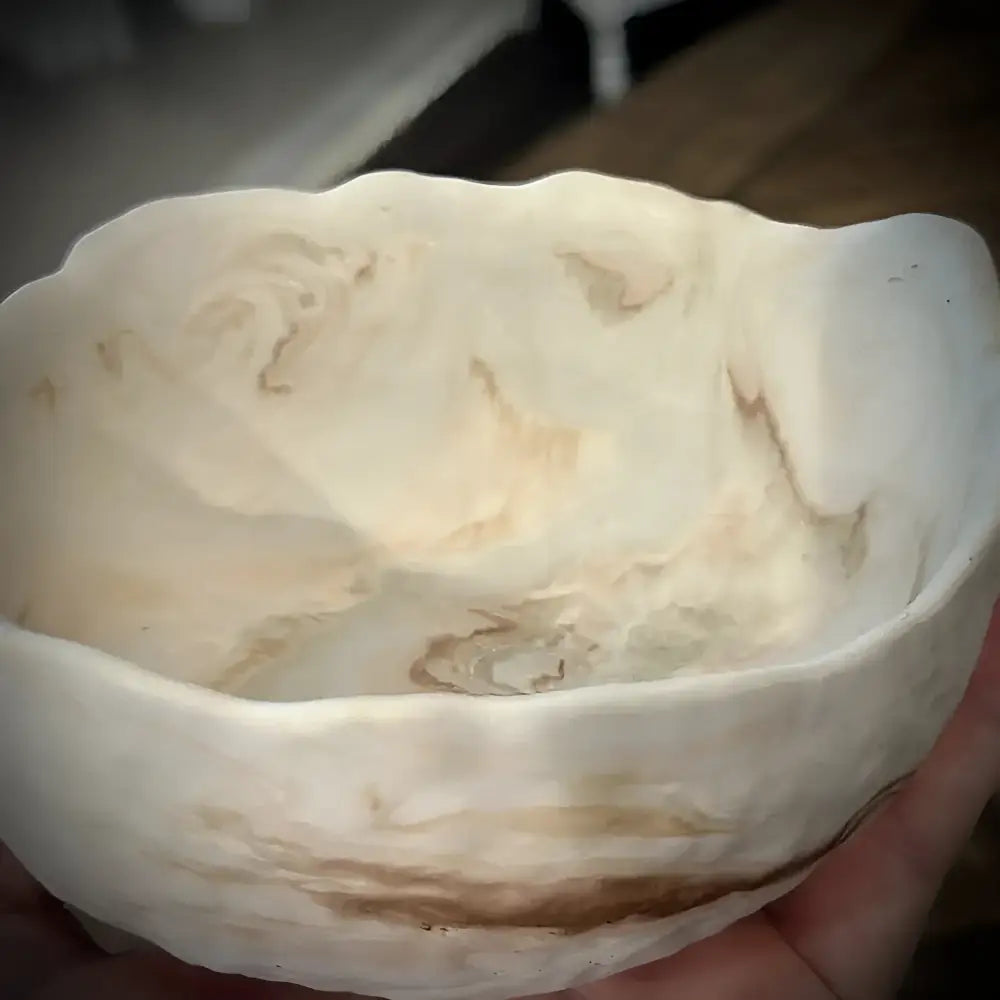 Hand holding a large white shell with intricate patterns