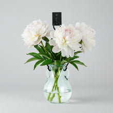 Handmade French country 12’’ hanging glass vase with wall hook, white flowers