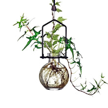 Extra small hanging recycled ball rooting vase with green ivy cuttings