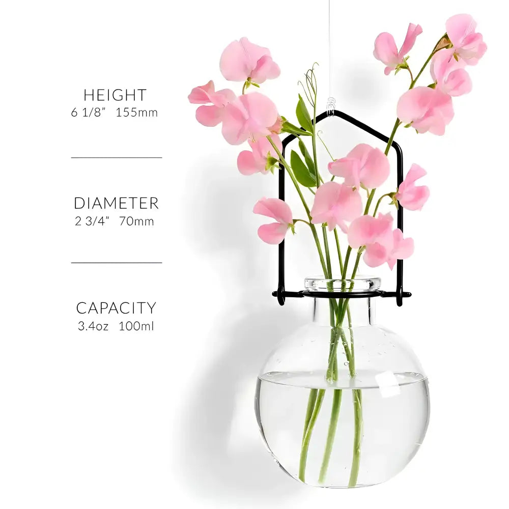 Extra small hanging green recycled ball rooting vase with clear glass and black metal frame