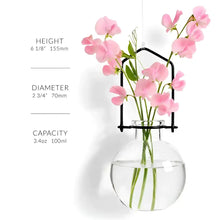 Extra small hanging green recycled ball rooting vase with clear glass and black metal frame