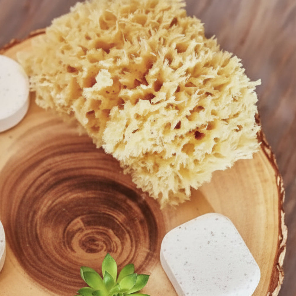 Natural wood-handled bath sea sponge brush on rustic slice