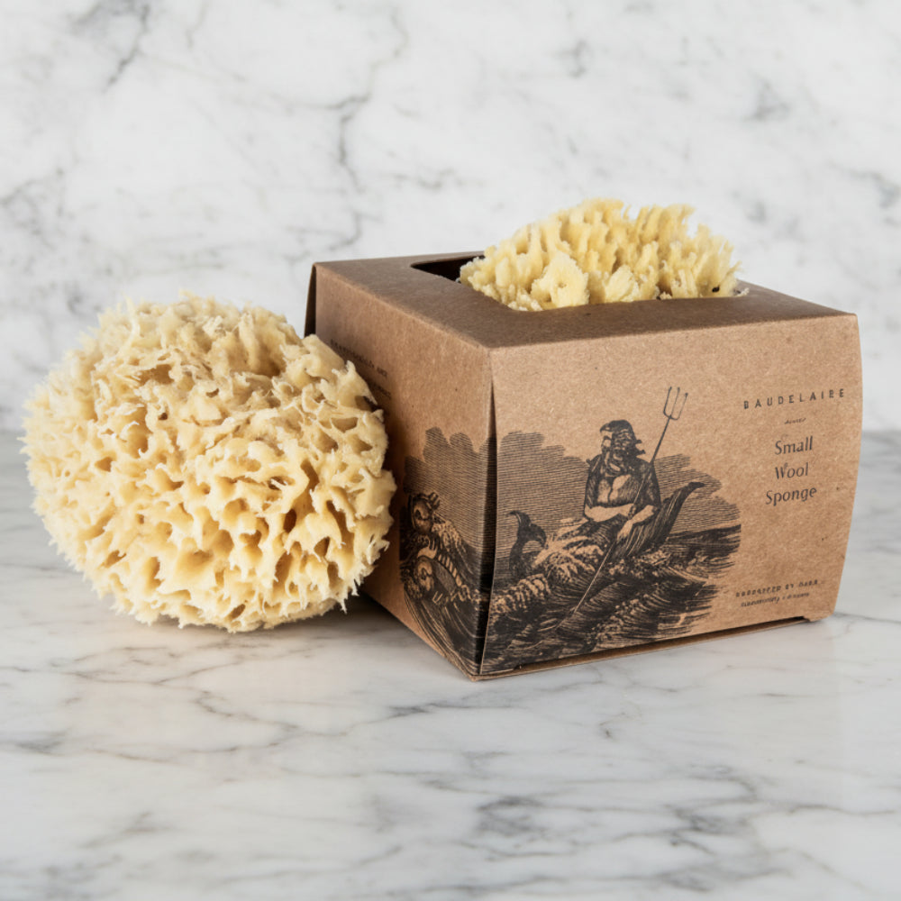 Small 4.5-inch natural beige wool sea sponge with porous, textured surface