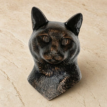 Black ceramic cat door knocker with glossy finish and detailed fur texture perfect for door knocker collection