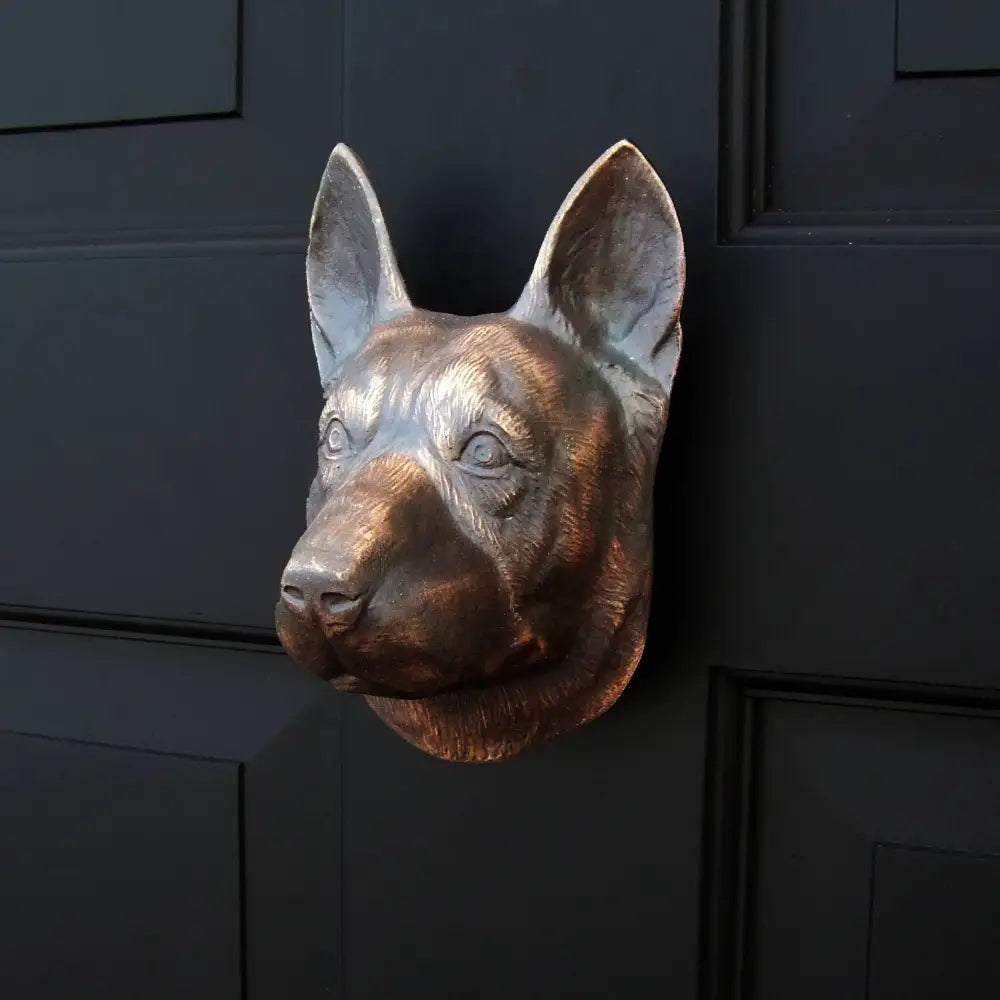 Bronze dog head knocker on a black door