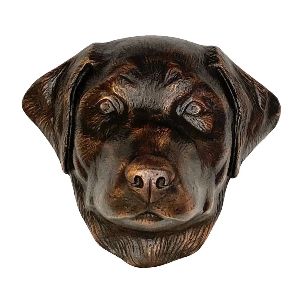 Bronze sculpture of a dog's head on a white background
