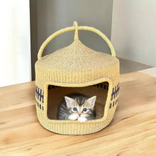 Woven wicker cat bed basket with handle and tabby kitten inside from Bolgatanga