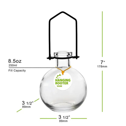 Clear glass hanging rooter glass vase with black metal hanger for plant propagation