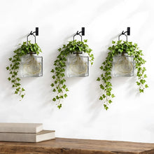 Handcrafted eco-friendly clear glass square wall planters with black metal hooks