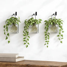 Handcrafted eco-friendly clear glass square wall planters with black metal hooks