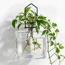 Handcrafted eco-friendly hanging propagation vase with clear glass, black metal frame, and green ivy