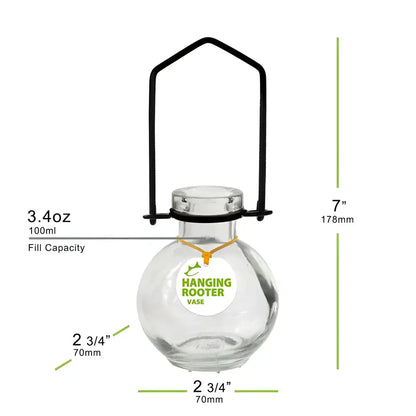 Clear glass hanging small ball rooting vase with black metal handle and Hanging Rooter Vase label