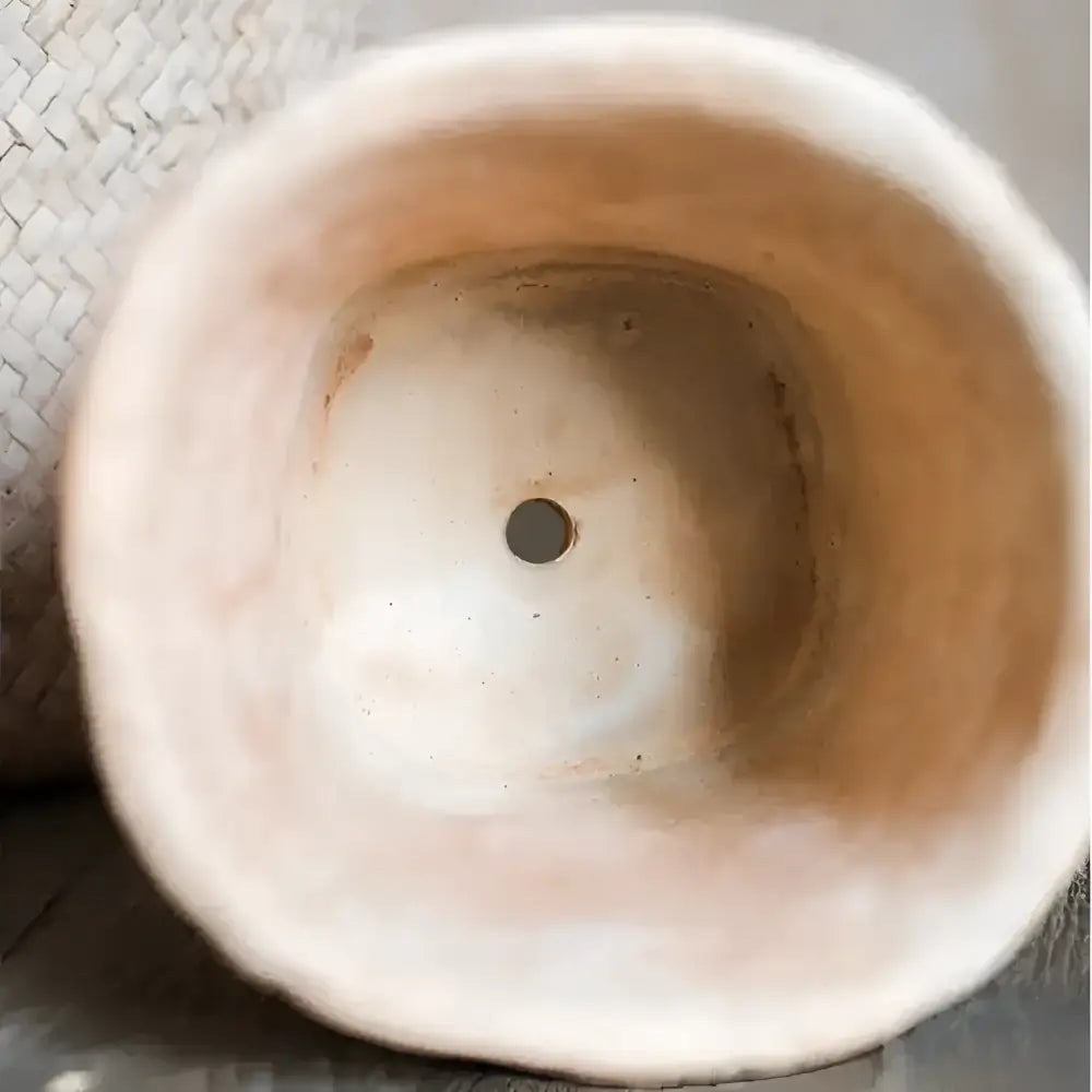 Rustic terracotta pot in Plant Lovers Nest curated set propagation vase