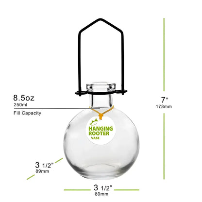 Clear glass hanging rooter vase in Plant Lovers Nest curated set propagation