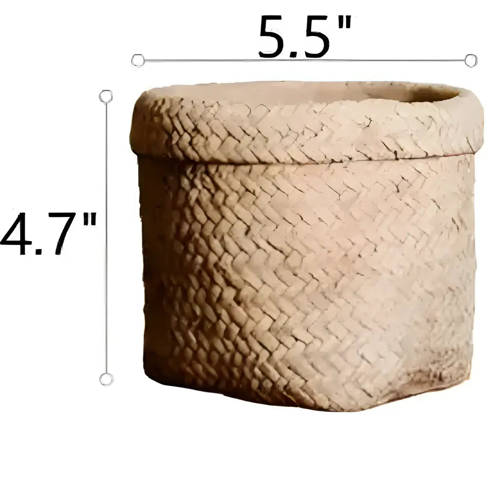 Beige herringbone basket in Plant Lovers Nest curated set propagation