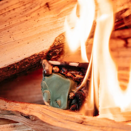 Firestarters Evergreen Forest