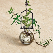 A small hanging recycled glass ball rooting vase with vibrant ivy held by a sleek black metal hanger