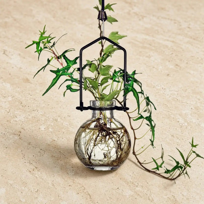 A small hanging recycled glass ball rooting vase with vibrant ivy held by a sleek black metal hanger