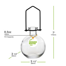 Small hanging recycled glass ball rooting vase with black metal hanger