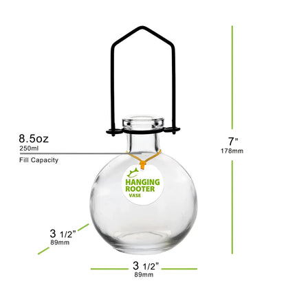 Small hanging recycled glass ball rooting vase with black metal hanger