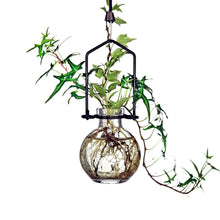 Small hanging recycled glass ball rooting vase with black metal hanger and live plant roots in water