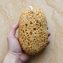 Natural yellowish brown infused natural sponge with shea butter soap and essential oils and a white rope loop