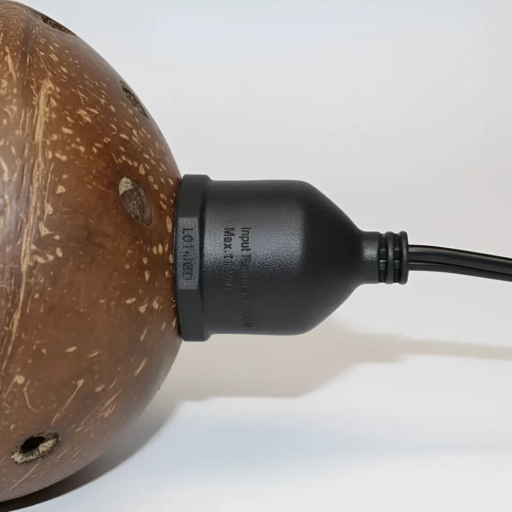 Brown hand-carved coconut shell lamp with black plastic base and cord from tropical coconut patio string light shades set