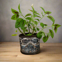 Potted plant in decorative Turkish Rug Basket with green and maroon patterned leaves