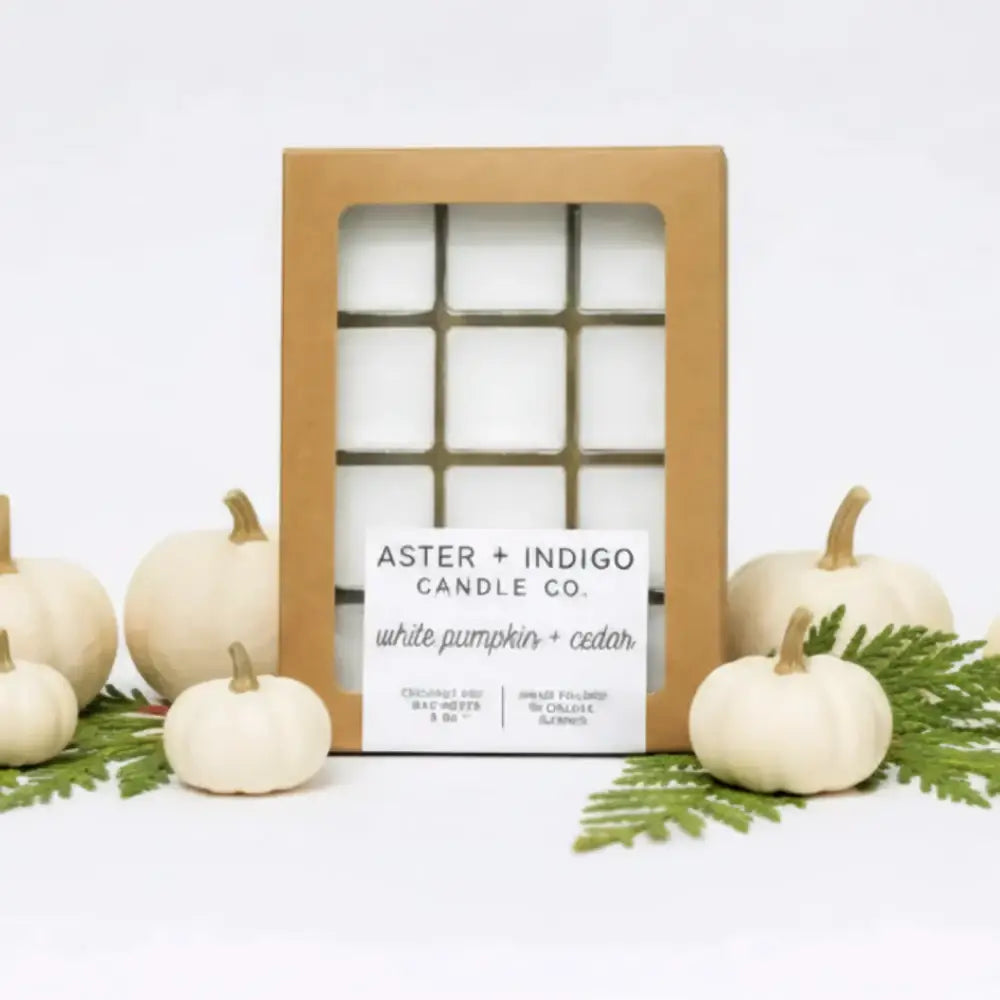Aster + indigo candle co white pumpkin cedar coconut-soy wax melts with toasted hazelnut scent in white packaging